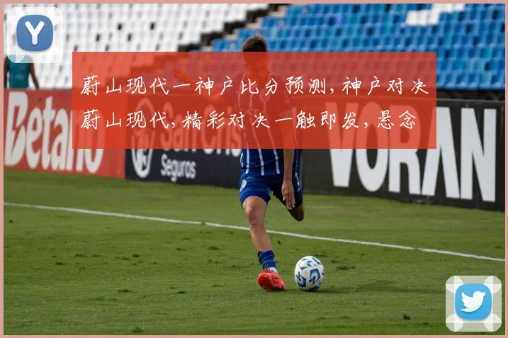 蔚山现代一神户比分预测,神户对决蔚山现代,精彩对决一触即发,悬念迭起