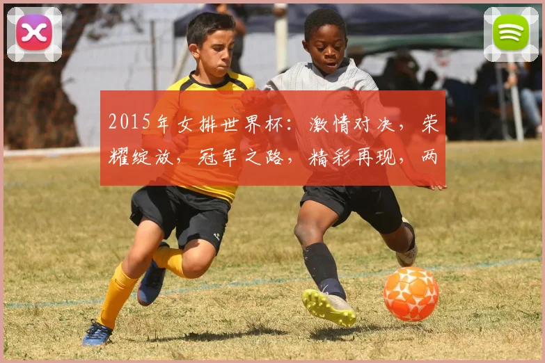 2015年女排世界杯：激情对决，荣耀绽放，冠军之路，精彩再现，两强争霸