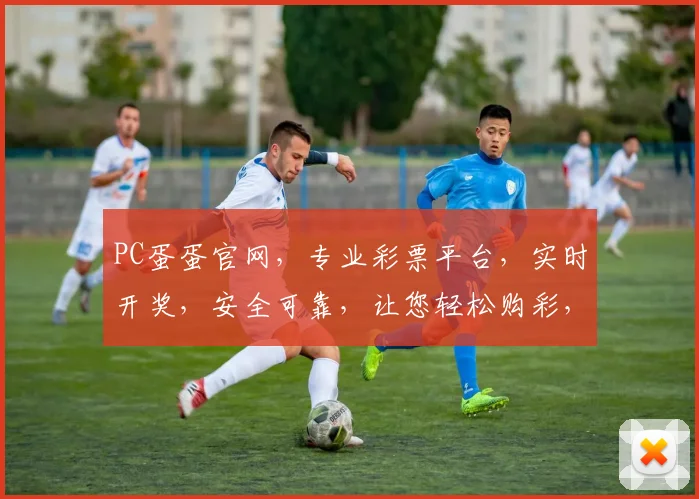 PC蛋蛋官网，专业彩票平台，实时开奖，安全可靠，让您轻松购彩，赢取大奖